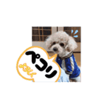 〜ポムLIFE〜（個別スタンプ：6）
