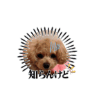 〜ポムLIFE〜（個別スタンプ：8）