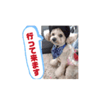〜ポムLIFE〜（個別スタンプ：9）