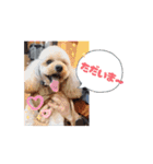 〜ポムLIFE〜（個別スタンプ：10）