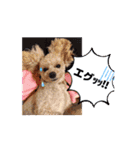 〜ポムLIFE〜（個別スタンプ：11）