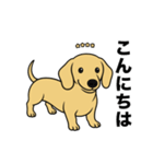 名前入りダックススムースイエロー（個別スタンプ：1）