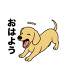 名前入りダックススムースイエロー（個別スタンプ：2）