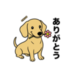 名前入りダックススムースイエロー（個別スタンプ：3）