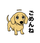 名前入りダックススムースイエロー（個別スタンプ：4）