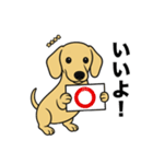 名前入りダックススムースイエロー（個別スタンプ：5）