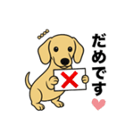 名前入りダックススムースイエロー（個別スタンプ：6）