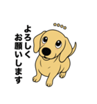 名前入りダックススムースイエロー（個別スタンプ：7）