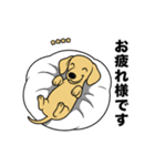 名前入りダックススムースイエロー（個別スタンプ：8）