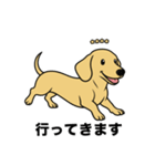 名前入りダックススムースイエロー（個別スタンプ：11）