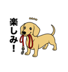 名前入りダックススムースイエロー（個別スタンプ：12）