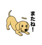 名前入りダックススムースイエロー（個別スタンプ：16）