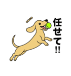 名前入りダックススムースイエロー（個別スタンプ：20）