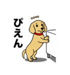 名前入りダックススムースイエロー（個別スタンプ：23）