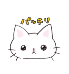 猫ピッチャーVol.1[再販]（個別スタンプ：29）