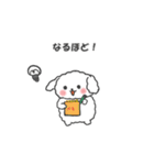 ぽってりかわいい プードルのるーちゃん（個別スタンプ：16）