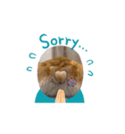 コーギーのピノ（個別スタンプ：7）