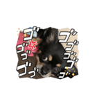 うちの子 クーたん（個別スタンプ：8）
