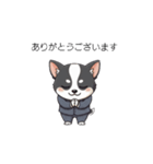 【動く】犬✖︎恐妻家（個別スタンプ：7）