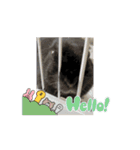 うさぎのコナン家 黒葉の動くスタンプ（個別スタンプ：6）