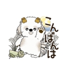 動くシーズー犬 2025 「秋」20（個別スタンプ：3）