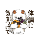 動くシーズー犬 2025 「秋」20（個別スタンプ：5）