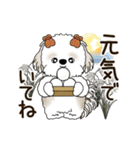 動くシーズー犬 2025 「秋」20（個別スタンプ：6）