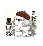動くシーズー犬 2025 「秋」20（個別スタンプ：7）