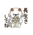 動くシーズー犬 2025 「秋」20（個別スタンプ：10）