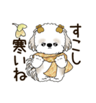 動くシーズー犬 2025 「秋」20（個別スタンプ：11）