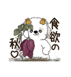 動くシーズー犬 2025 「秋」20（個別スタンプ：15）