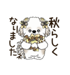 動くシーズー犬 2025 「秋」20（個別スタンプ：16）