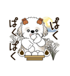 動くシーズー犬 2025 「秋」20（個別スタンプ：17）