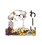 動くシーズー犬 2025 「秋」20（個別スタンプ：20）