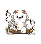 動くシーズー犬 2025 「秋」20（個別スタンプ：24）
