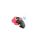 福ちゃんと華丸（個別スタンプ：1）