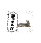 福ちゃんと華丸（個別スタンプ：4）