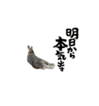 福ちゃんと華丸（個別スタンプ：6）