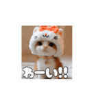ティッチャンの挨拶①（個別スタンプ：15）