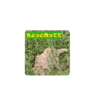 バニラぱん4（個別スタンプ：1）