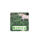 バニラぱん4（個別スタンプ：3）