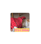 バニラぱん4（個別スタンプ：8）