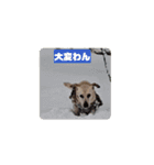 バニラぱん4（個別スタンプ：10）