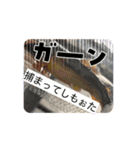 鮎と鰻のつぶ焼き（個別スタンプ：3）