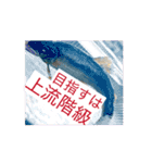 鮎と鰻のつぶ焼き（個別スタンプ：5）