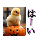 背景が動く★秋を感じる・毎日使えるひよこ（個別スタンプ：9）