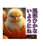 背景が動く★秋を感じる・毎日使えるひよこ（個別スタンプ：16）