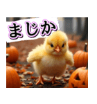 背景が動く★秋を感じる・毎日使えるひよこ（個別スタンプ：21）