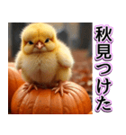 背景が動く★秋を感じる・毎日使えるひよこ（個別スタンプ：22）