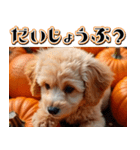 背景が動く★秋を感じる・トイプードル（個別スタンプ：15）